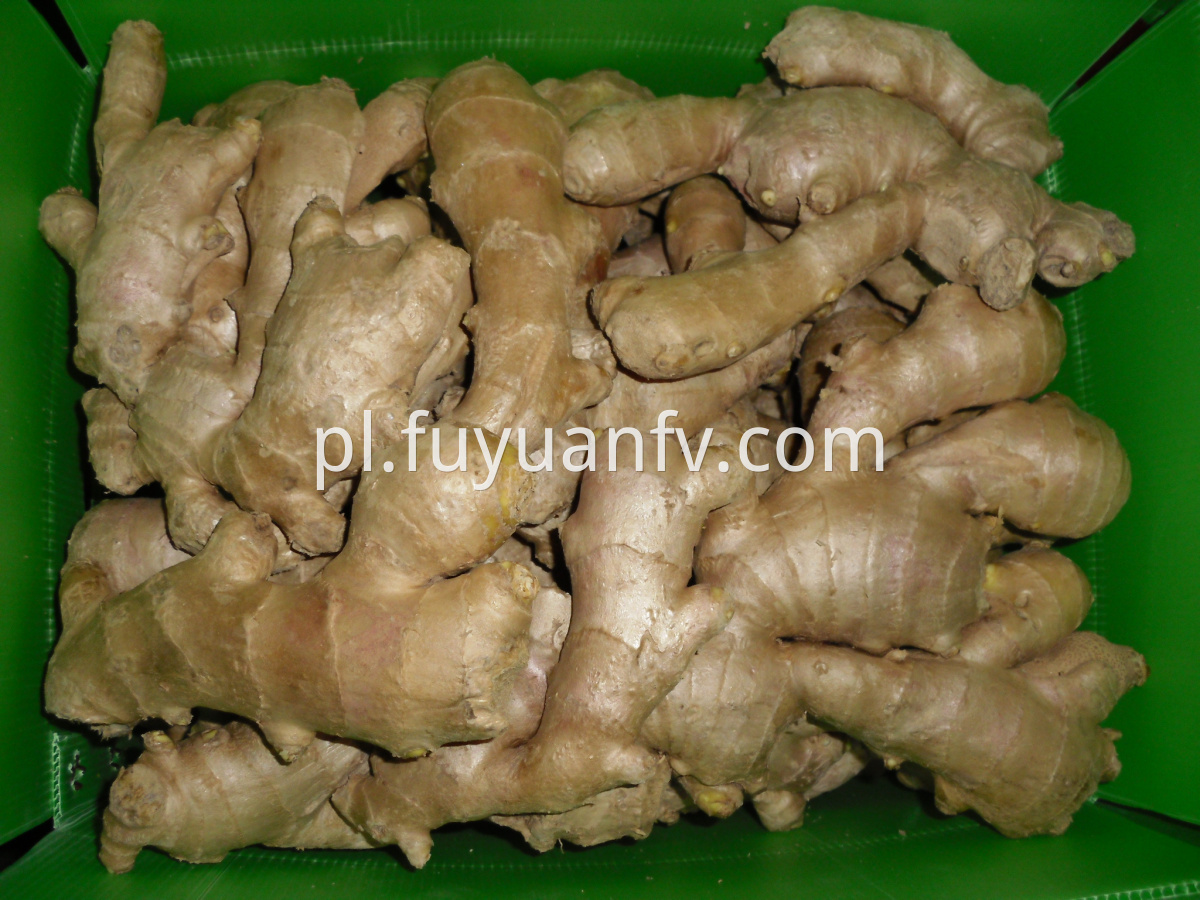 air dried ginger export to South Africa